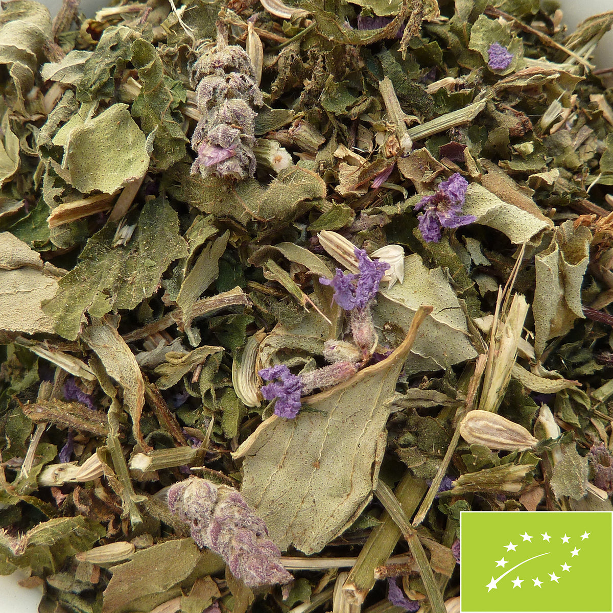 Tisane d'allaitement + filtre à thé - Chap&Graines LA CHAPELLE SUR ERDRE à  Chapelle Sur Erdre